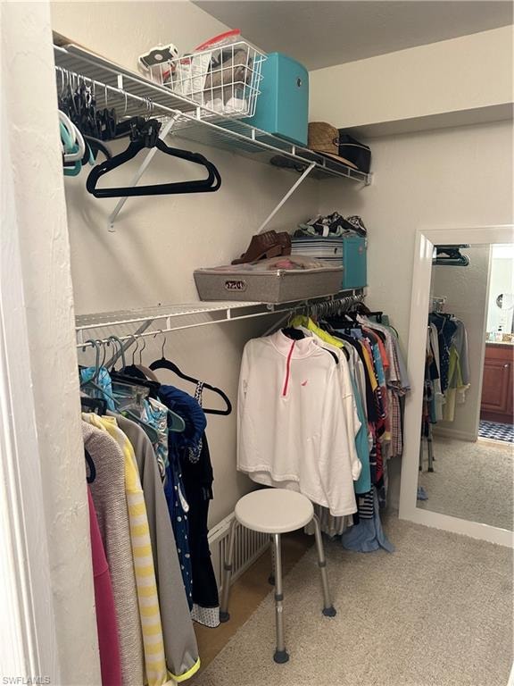 Walk in closet featuring carpet floors