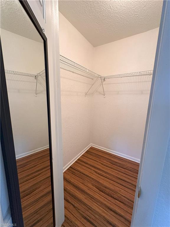 Spacious closet featuring dark wood finished floors