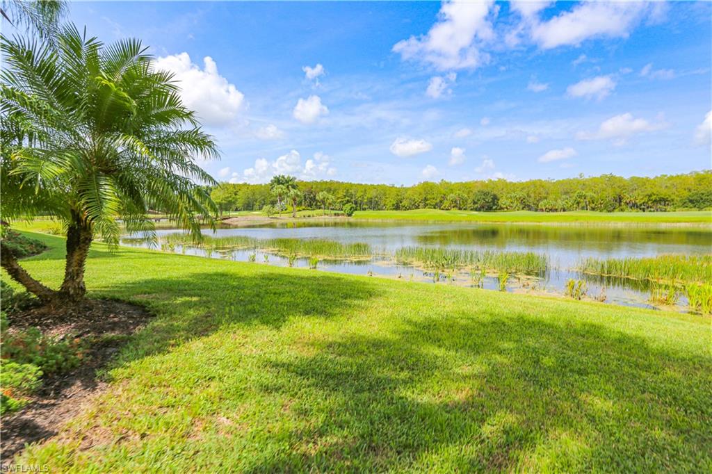 10275 Heritage Bay BLVD 724 photo 40