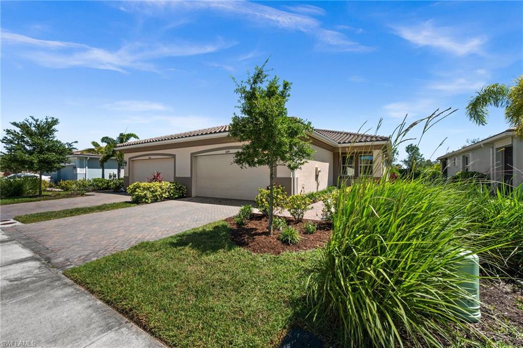 10353 Bonavie Cove DR photo 7