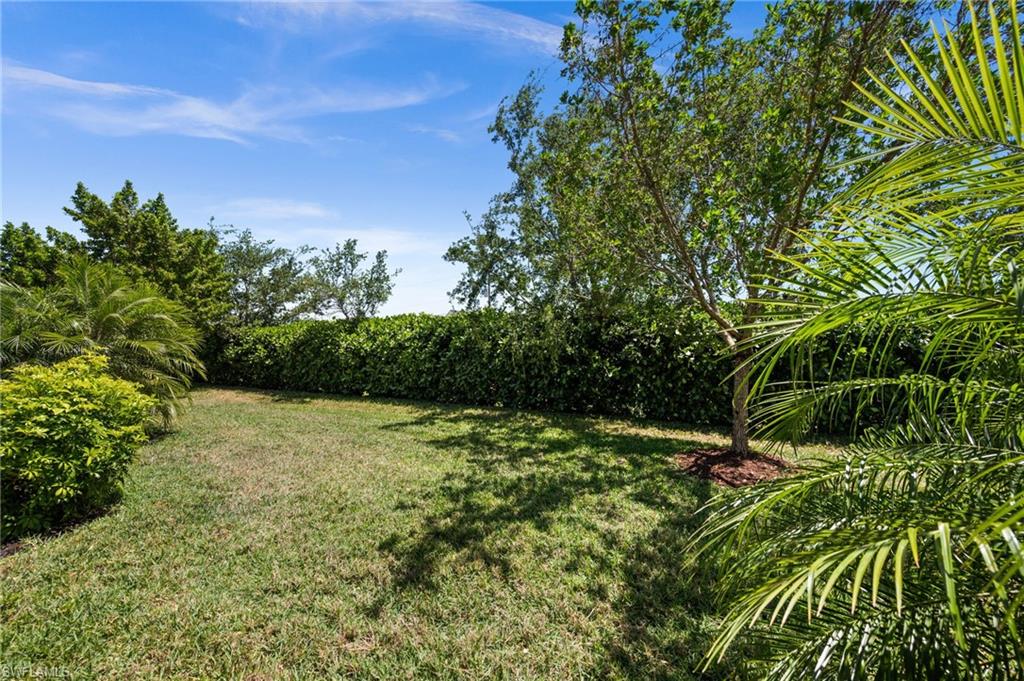 10353 Bonavie Cove DR photo 39