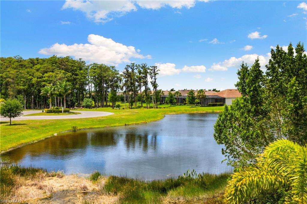Lakeside property featuring mature trees and lush landscaping