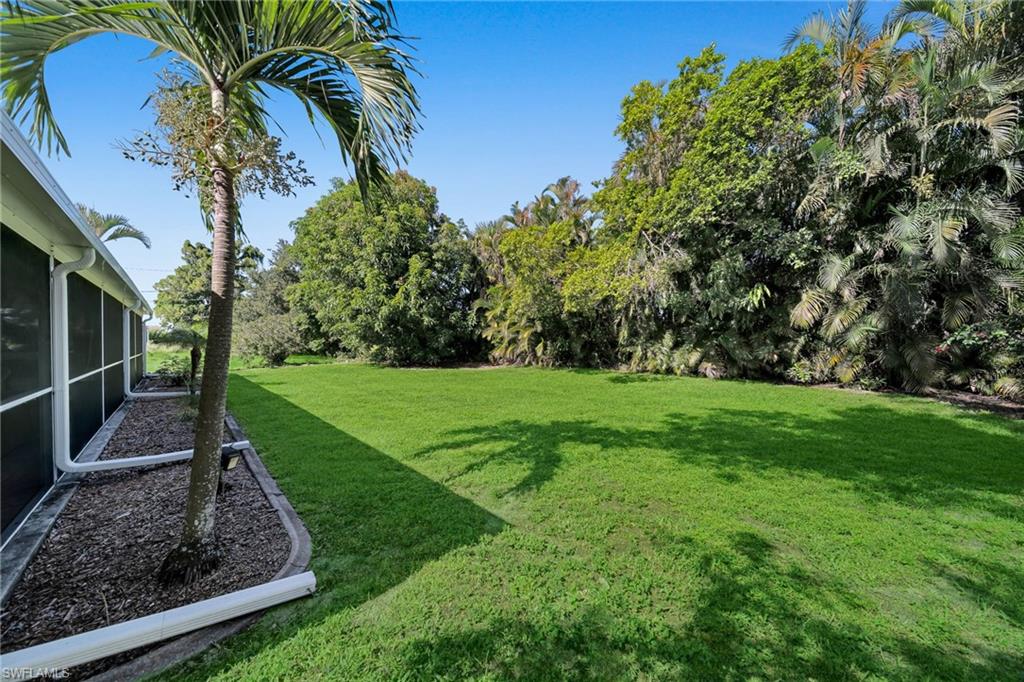 Expansive green lawn with mature trees and tropical foliage forming a natural privacy screen