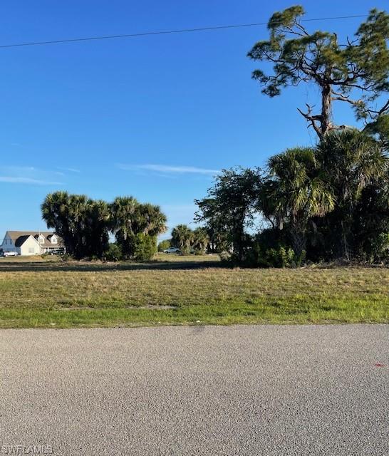 Expansive undeveloped parcel featuring mature palm trees and pine trees