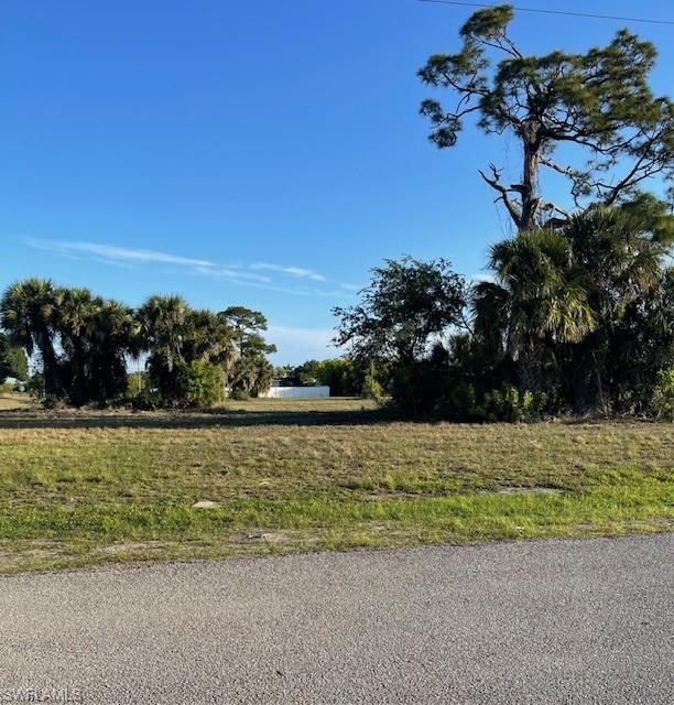 Expansive cleared land parcel featuring natural foliage and mature trees