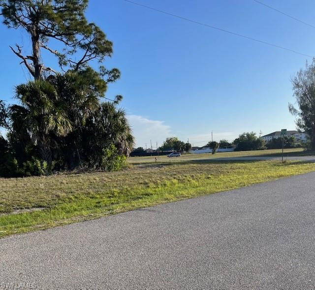 Paved road frontage with an undeveloped parcel featuring a mature pine tree and tropical foliage