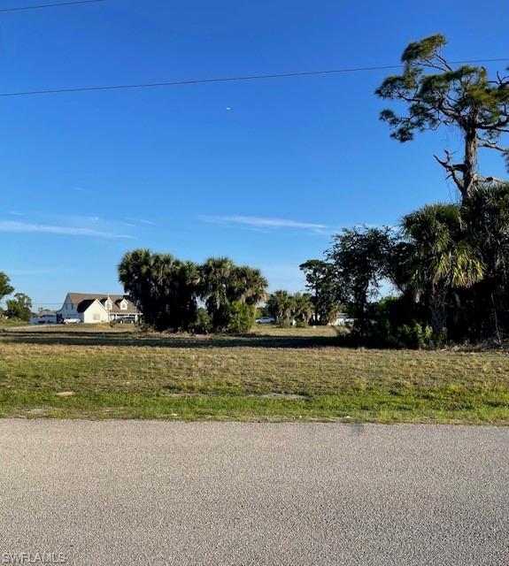 Expansive vacant lot featuring natural grass and mature palm trees