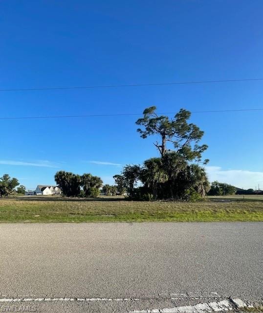 Expansive undeveloped lot featuring mature trees and natural vegetation under a clear blue sky