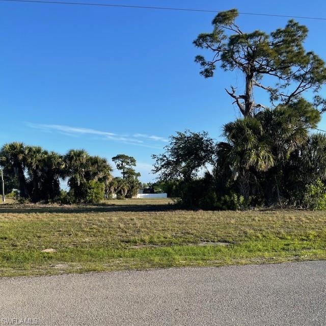 Expansive vacant lot featuring a cleared building envelope, natural grass, and mature palm trees