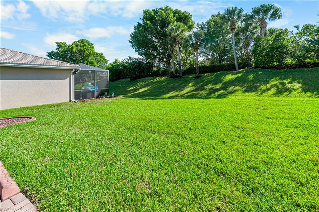 10535 Carolina Willow DR photo 30