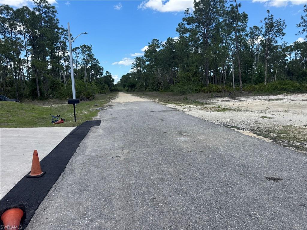 Paved road frontage with a street light, surrounded by natural vegetation and a clear sky