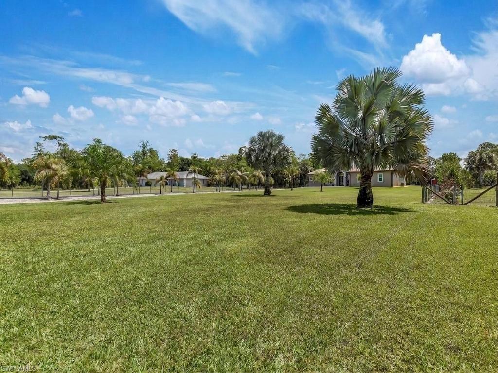Huge Front Yard