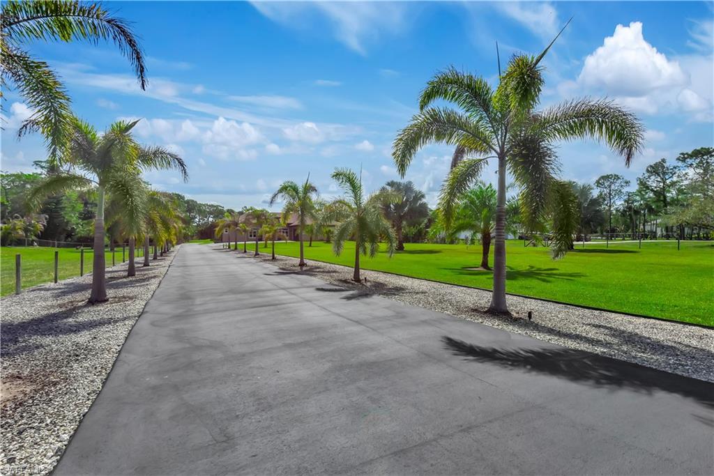 Amazing Landscaping-completely cleared fenced-in property with electric front gate & 11 zone sprinkler system throughout.