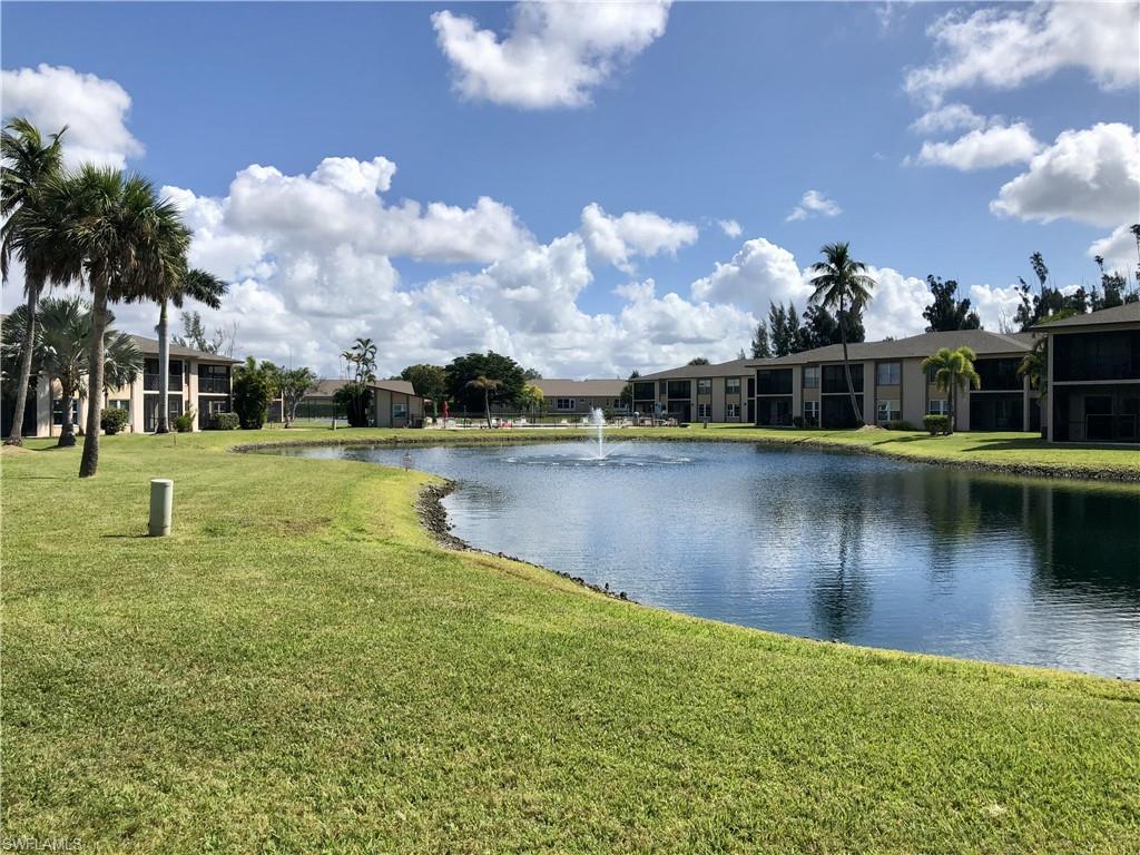 Expansive lake with a central fountain, bordered by manicured green space and mature palm trees
