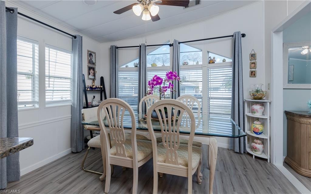10848 Vireo CIR photo 9