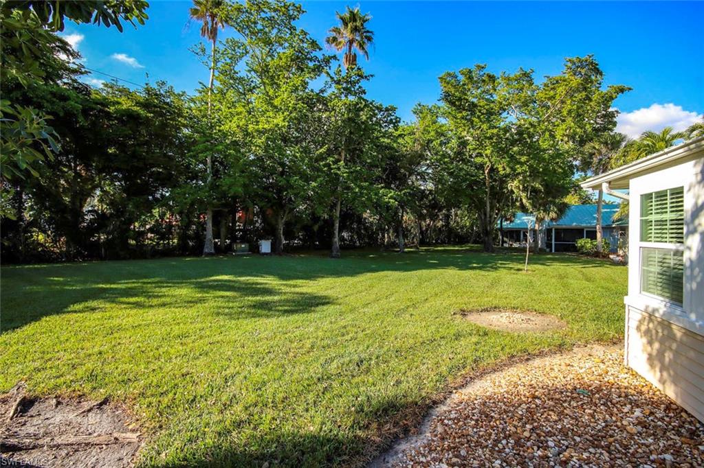 Spacious_Side_Lawn_View_from_Lanai