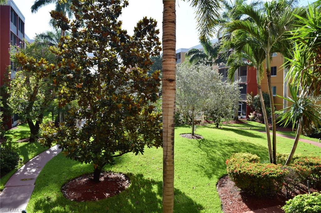 Lush green lawn with mature trees and tropical plantings