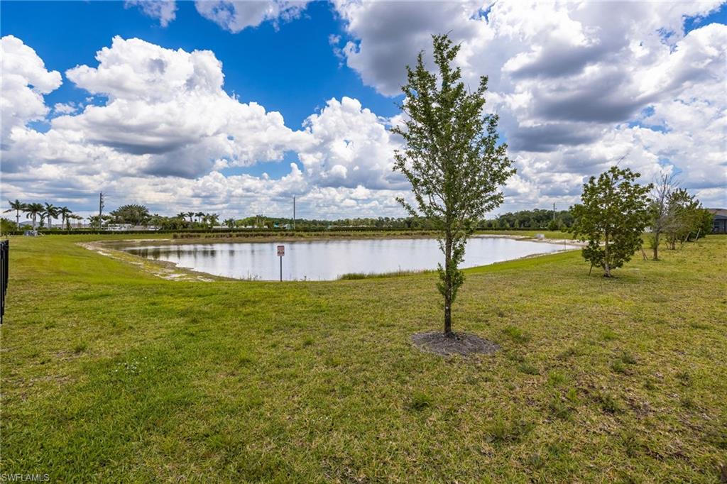 13910 Buckingham Oak DR photo 30