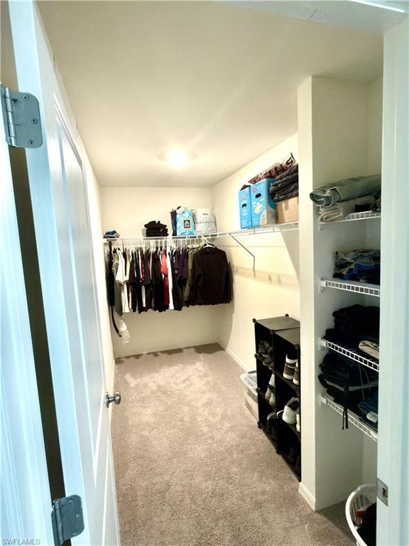 Carpeted room featuring neutral wall tones, a ceiling-mounted light fixture, and white interior doors with dark hardware