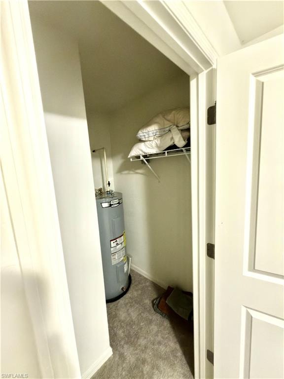Utility closet featuring a water heater, light gray carpeting, and a wire shelf