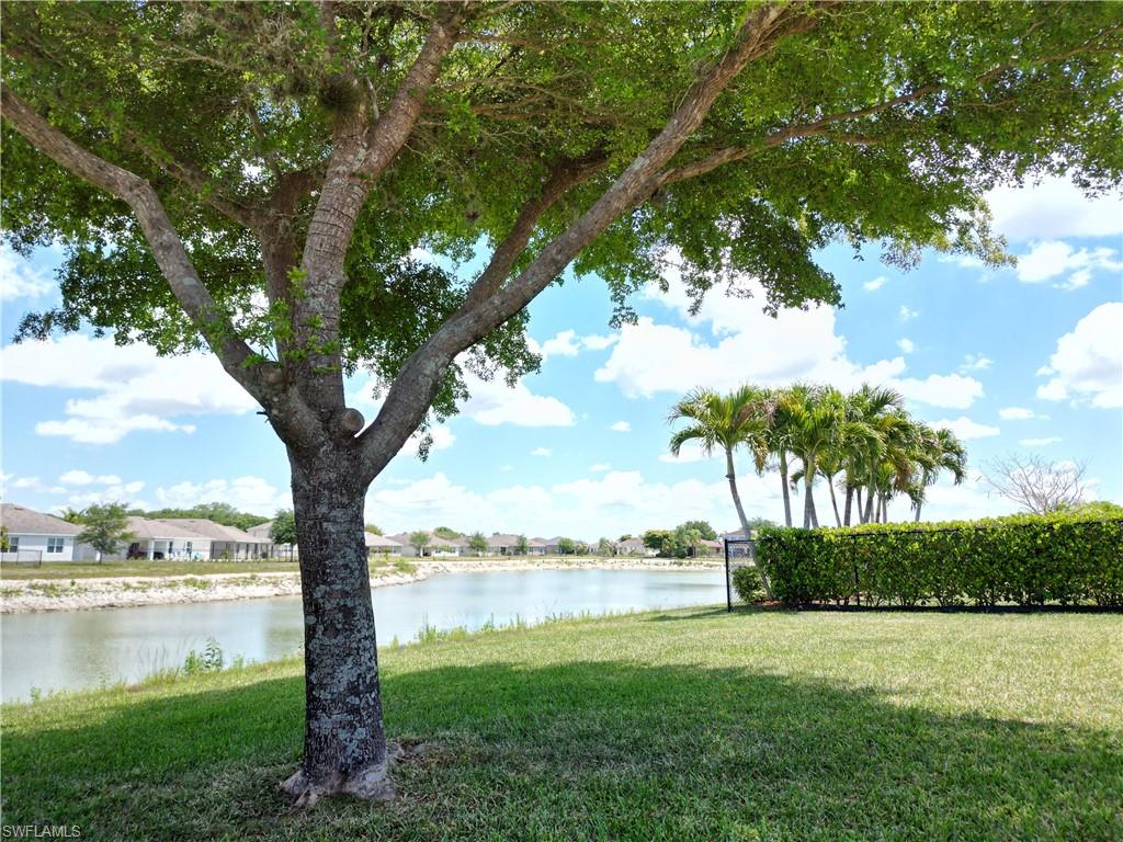 10353 Canal Brook LN photo 8