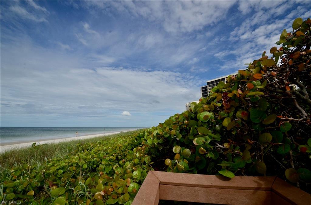 10851 Gulf Shore DR 502 photo 32
