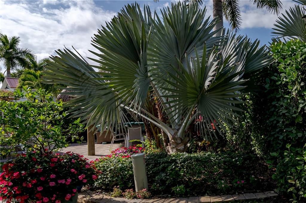 13625 Snapper LN photo 18