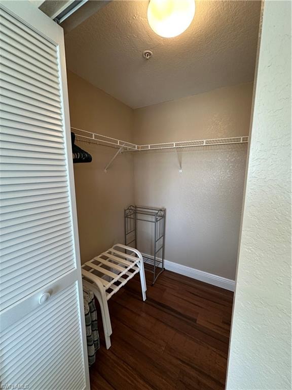 Guest Bedroom Walk-in closet