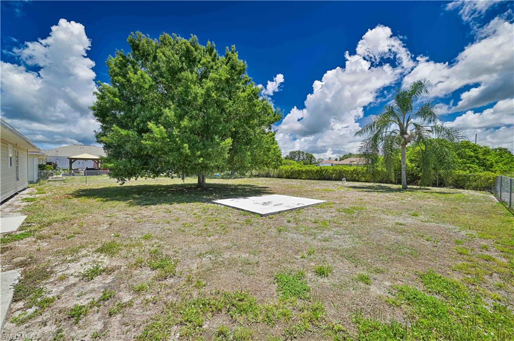 Expansive grassy yard featuring a large mature tree, a single palm tree, and a concrete pad