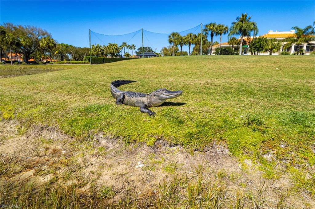 26483 Bonita Fairways BLVD photo 43