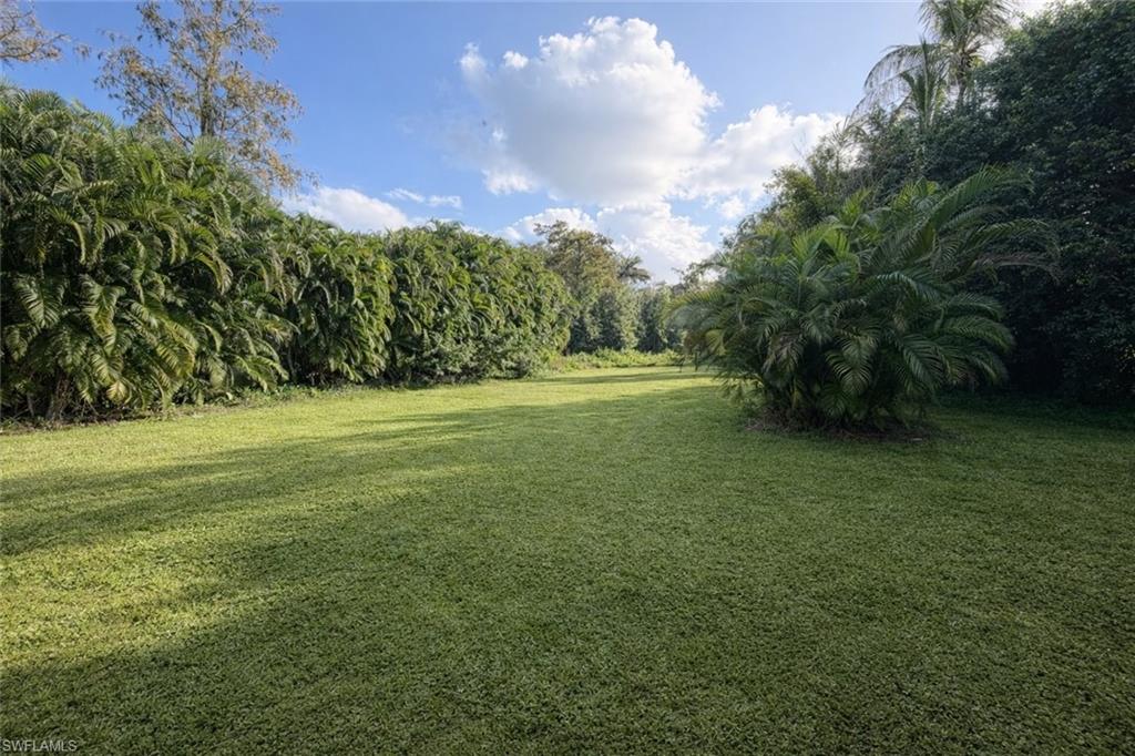 5202 Cypress LN photo 7