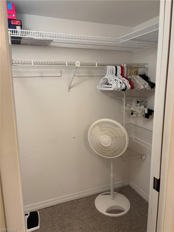 Large Master walk-in closet