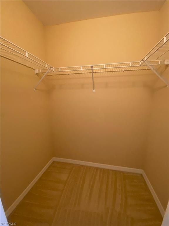 2677 Blue Cypress Lake CT photo 27