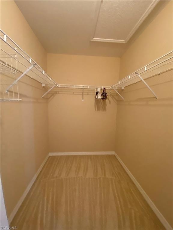 2677 Blue Cypress Lake CT photo 26