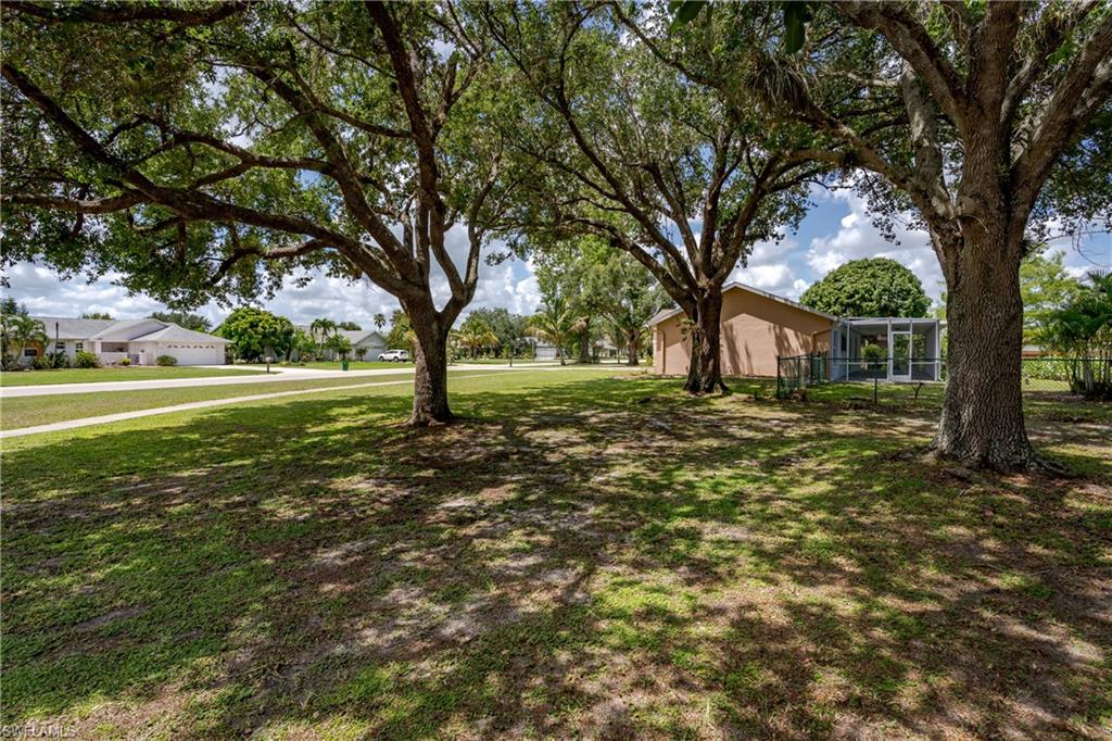 Expansive grassy yard featuring mature trees, a screened enclosure, a stucco exterior, and a paved street