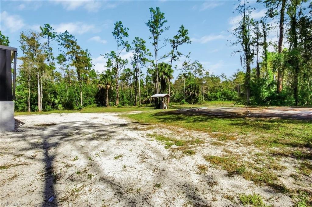 View of yard featuring a wooded view