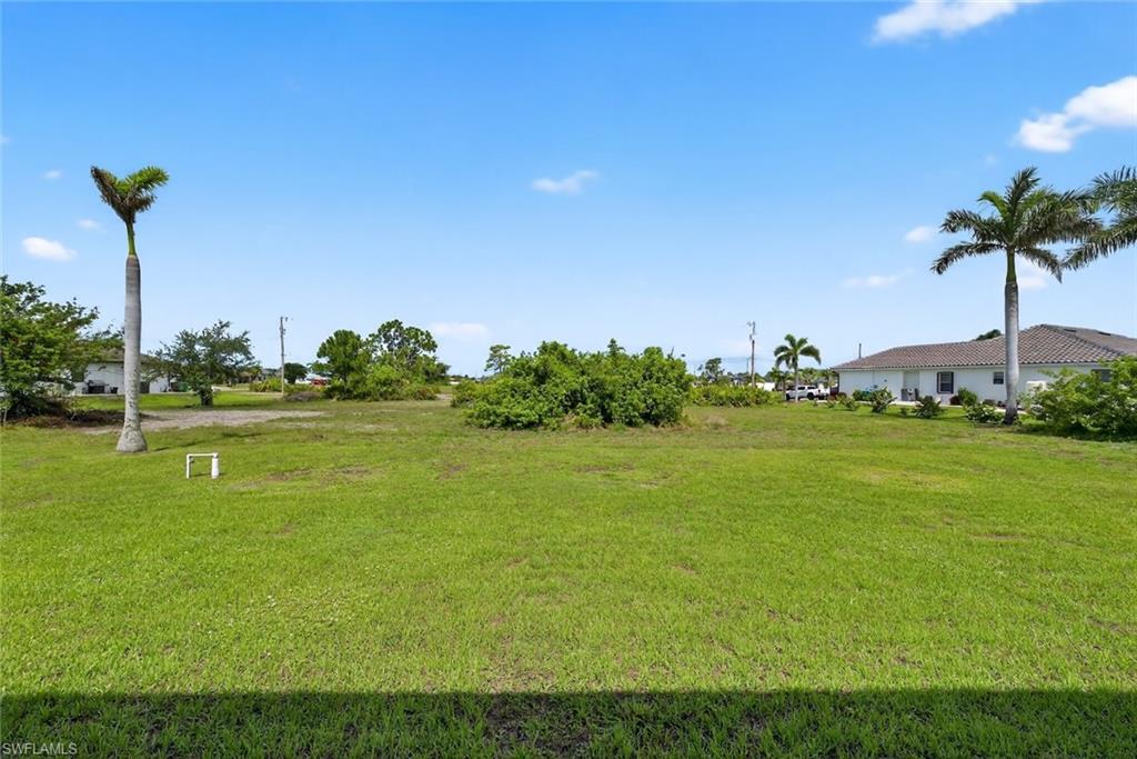 View of grassy yard