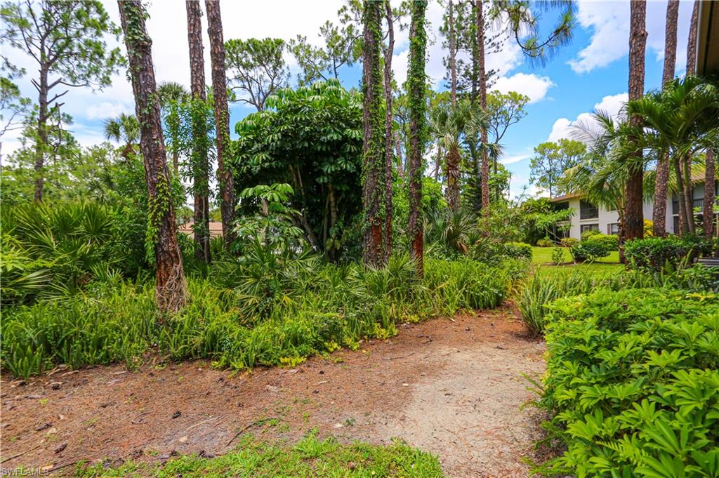 1765 Courtyard WAY C-104 photo 9