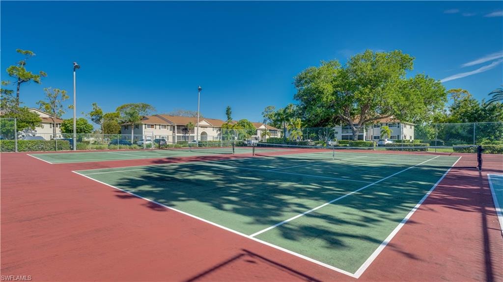 Tennis? Yes...Yes...Yes!