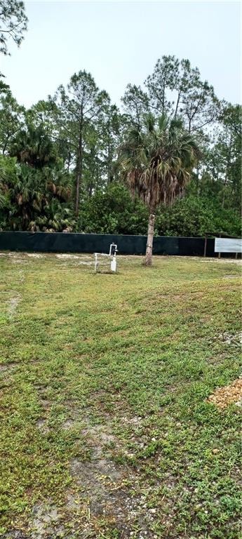 Open lot featuring a variety of mature trees, including a prominent palm tree