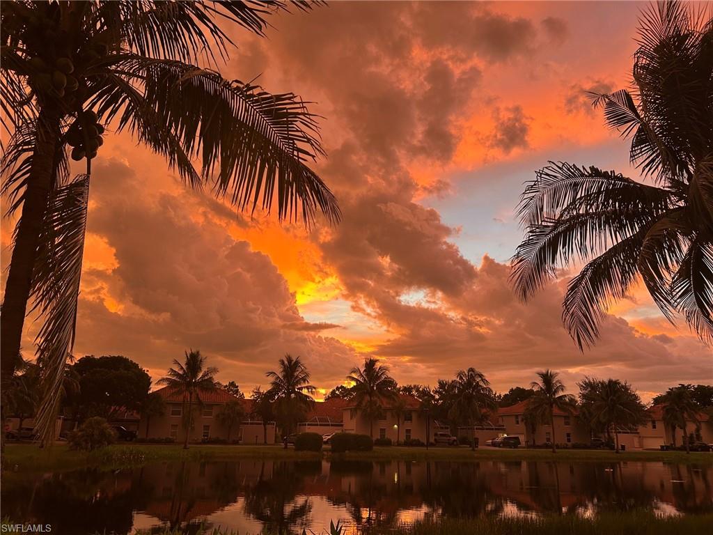Tropical setting featuring mature palm trees and a reflective pond