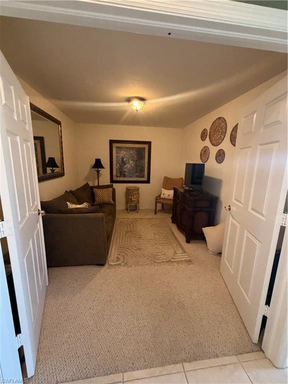 Den with carpet
