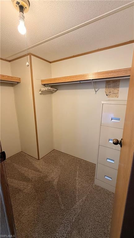 XL carpeted primary closet space featuring integrated shelving, hanging rods.