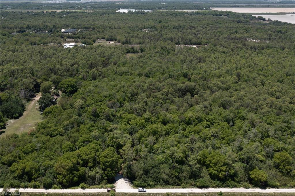 Expansive wooded acreage featuring dense tree cover and a visible access road