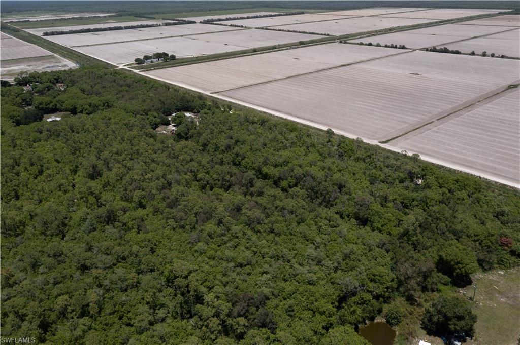 Expansive acreage featuring dense natural foliage and a visible pond