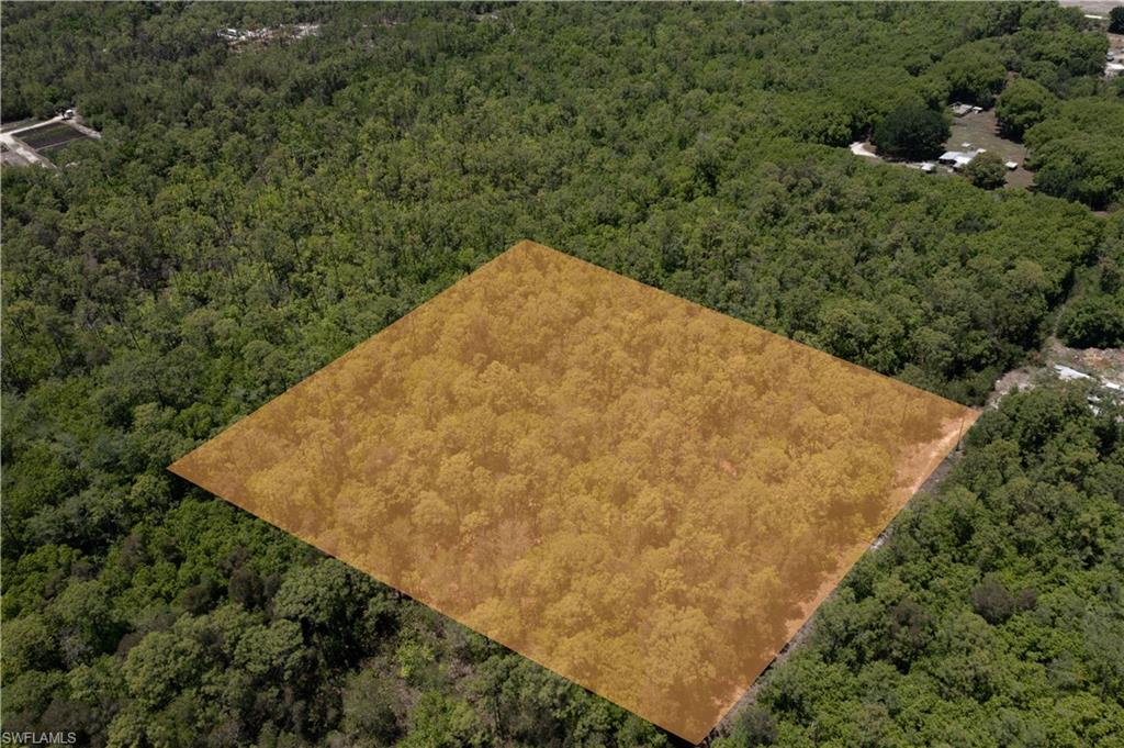 Expansive land parcel blanketed by mature trees
