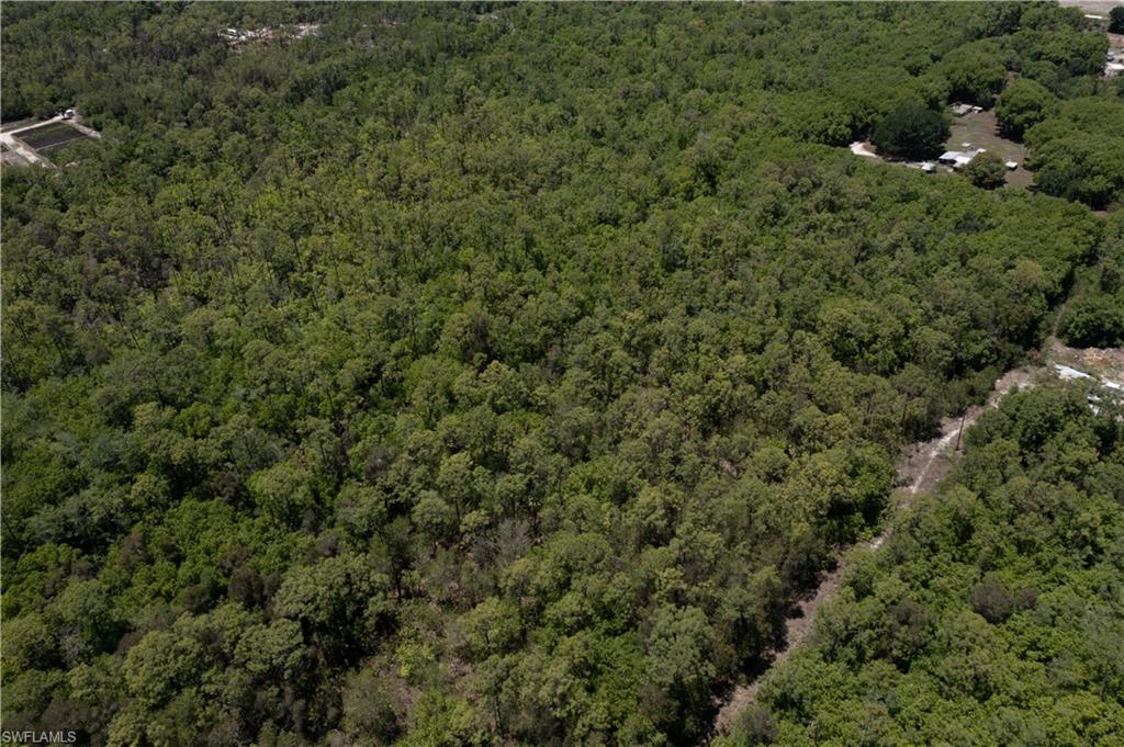 Expansive wooded acreage featuring dense tree cover and natural surroundings