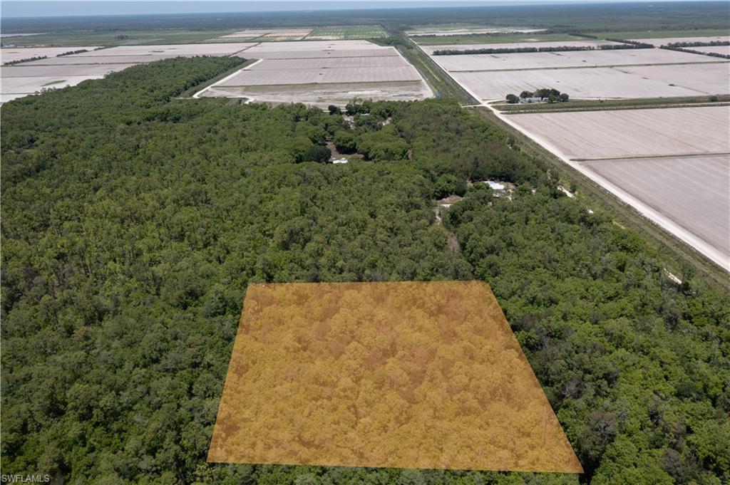Expansive wooded acreage featuring dense tree coverage