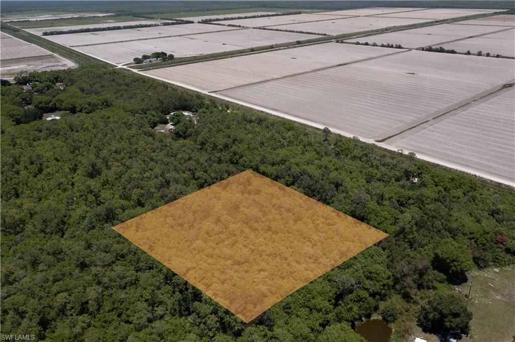 Expansive wooded lot with marked boundaries