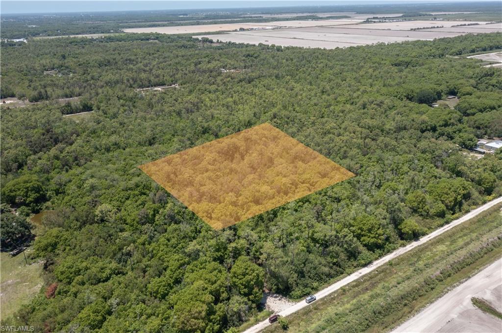 Expansive land parcel featuring dense tree coverage